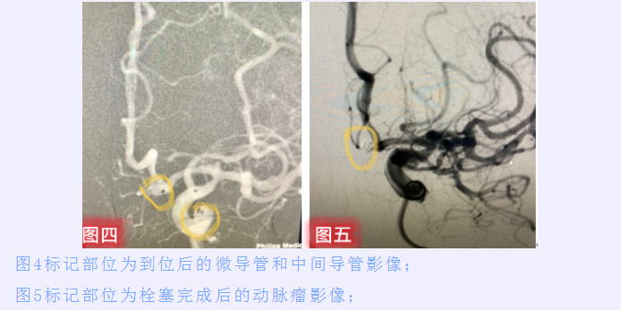 微信圖片_20220616163210.png