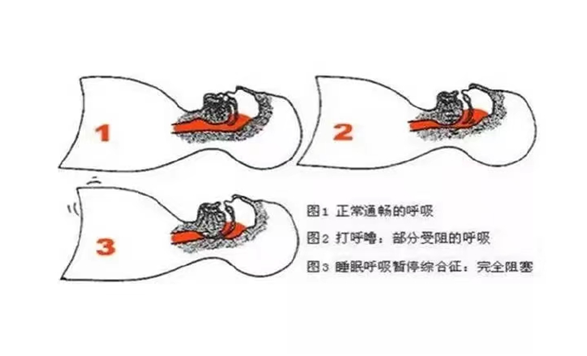 微信圖片_20220630154828.png